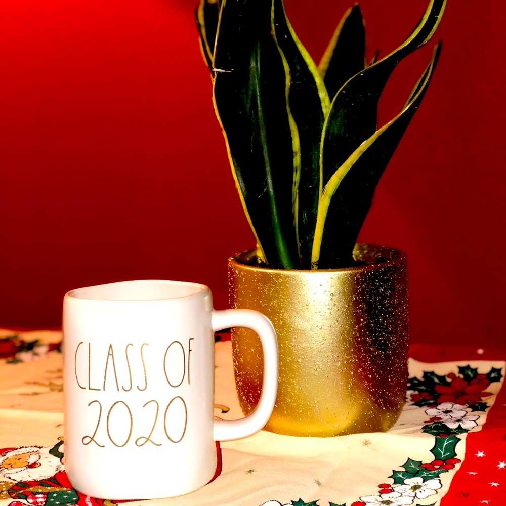 Class of 2020 mug